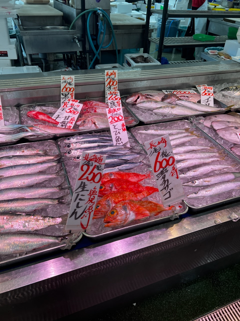 角上魚類 小平店行ってみた。【写真付き】