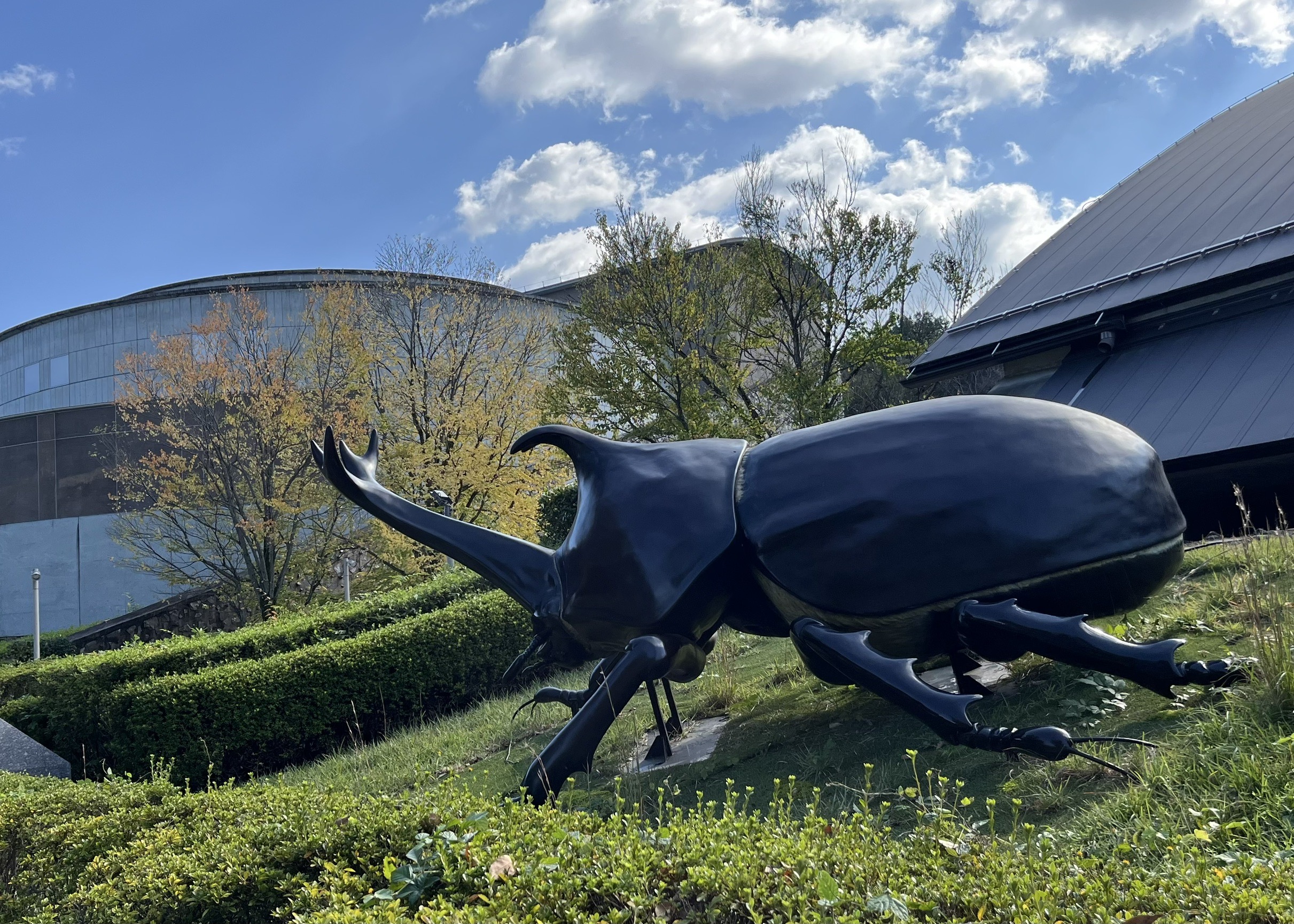 群馬レポート | 群馬県立自然史博物館